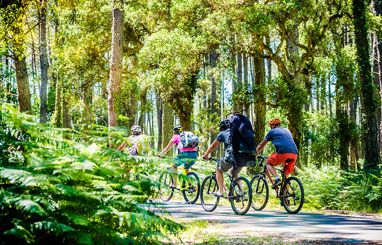 Le camping accueil vélo l’Hermitage de Chevigny dans la Nièvre est un lieu pensé pour les amateurs de plein air, avec l’esprit authentique du camping traditionnel.