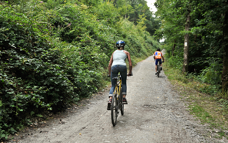 Explorer la Bourgogne à vélo au départ du camping accueil vélo l’Hermitage de Chevigny dans la Nièvre