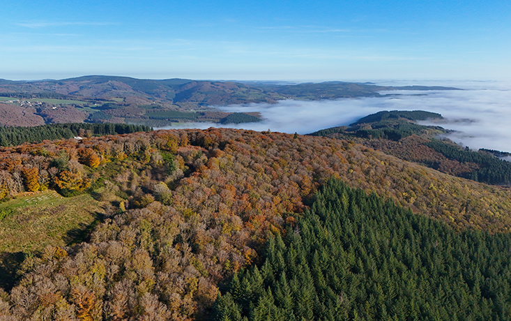 Vue générale du Mont Beuvray : tourisme en Bourgogne