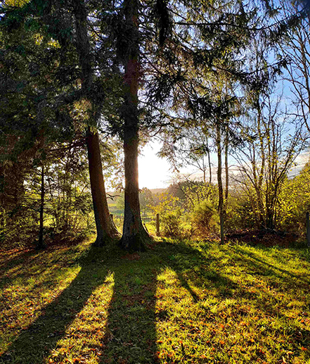 Séjourner au camping nature dans la Nièvre l’Hermitage de Chevigny