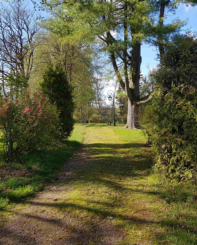 Allée des emplacements camping pour tentes, caravanes et camping-cars spacieux du camping l’Hermitage de Chevigny dans la Nièvre