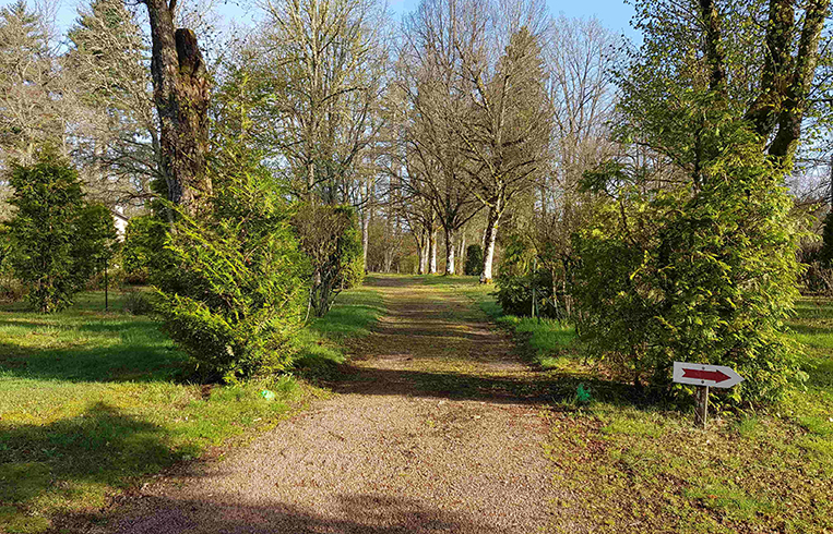 Allée des emplacements camping du camping dans le Morvan l’Hermitage de Chevigny